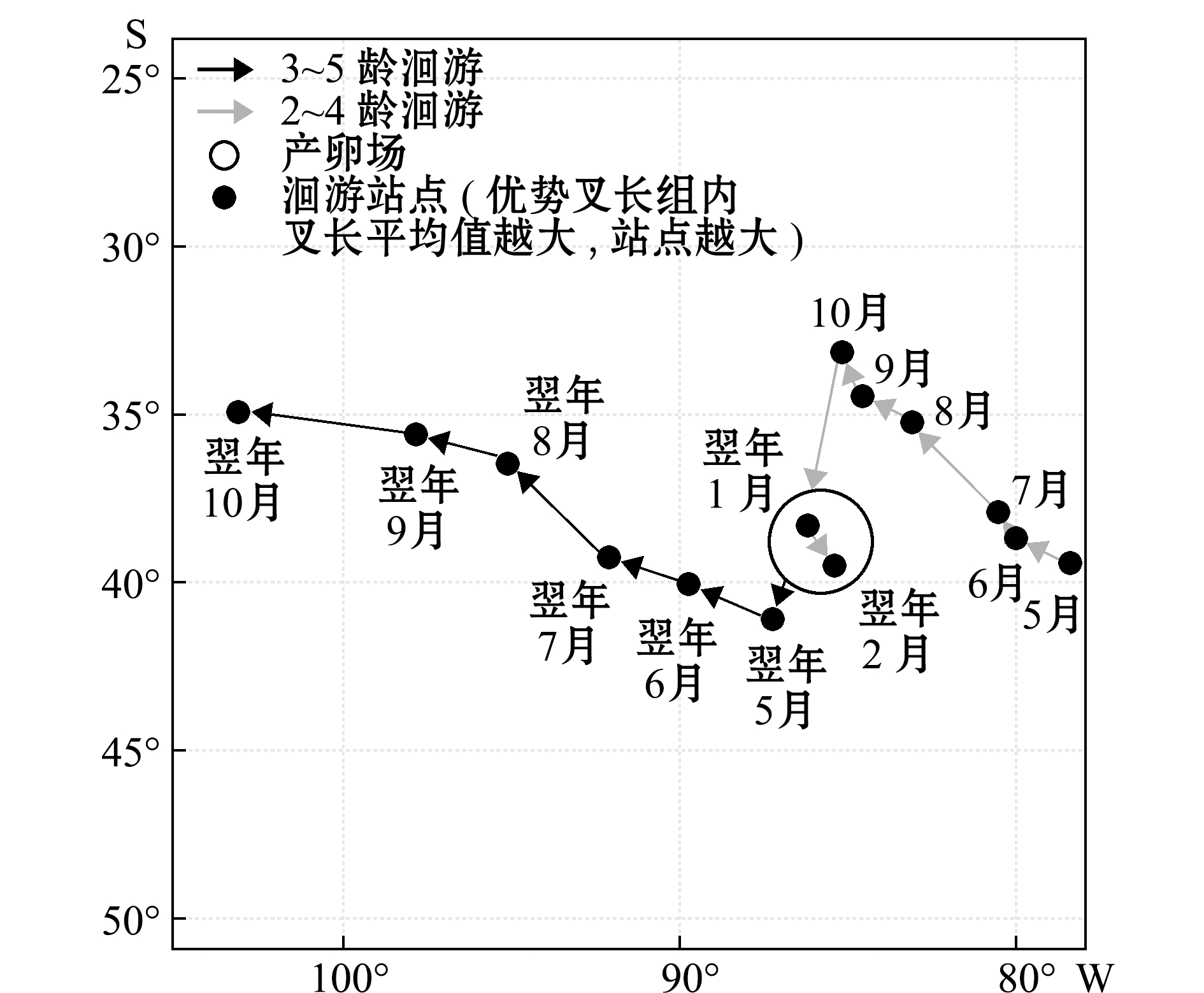 东南太平洋智利竹筴鱼的洄游路线